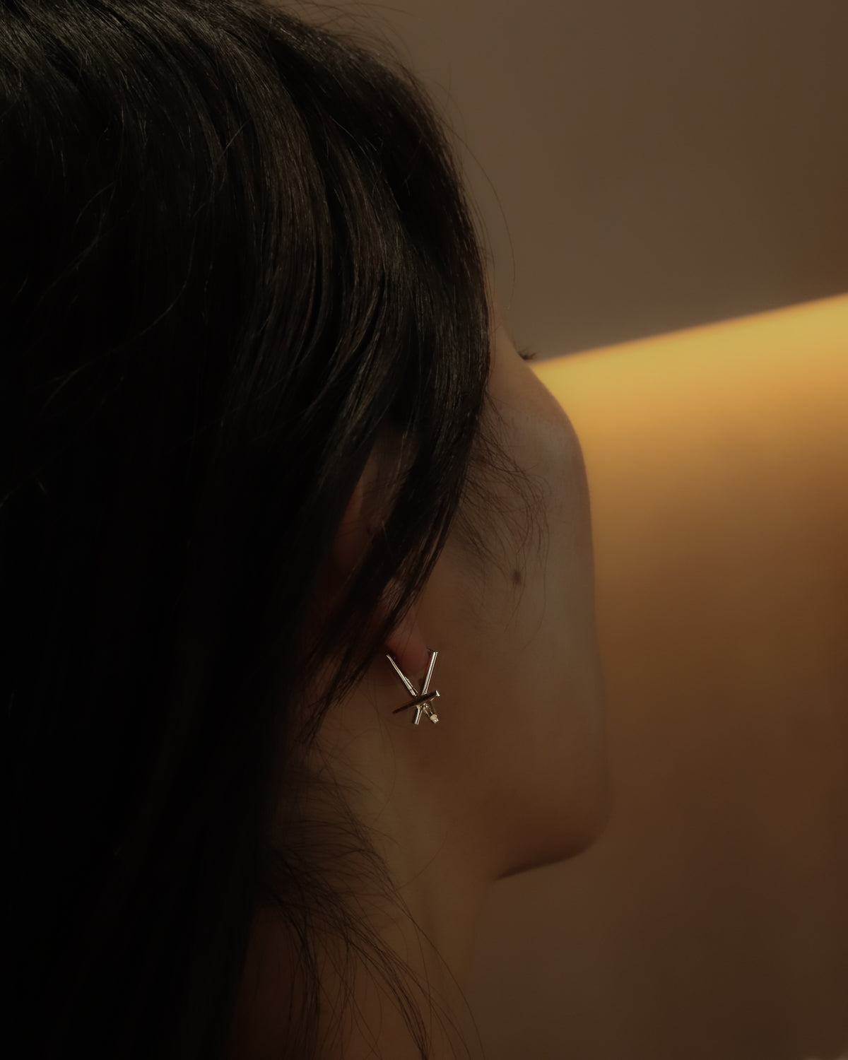Asterism Pierced Earring - Pt900 -