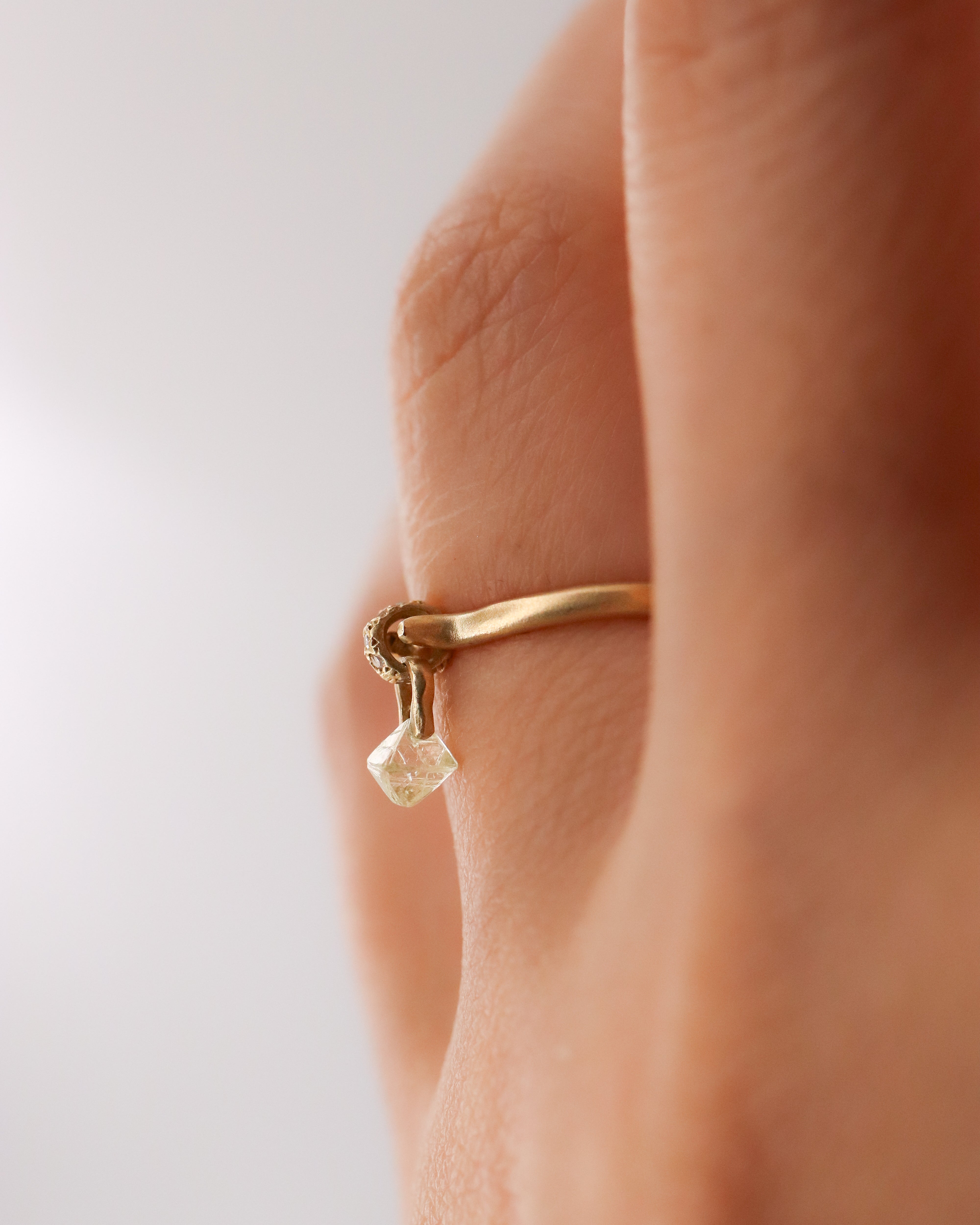 Horse Shoe Hole Ring - Diamond -