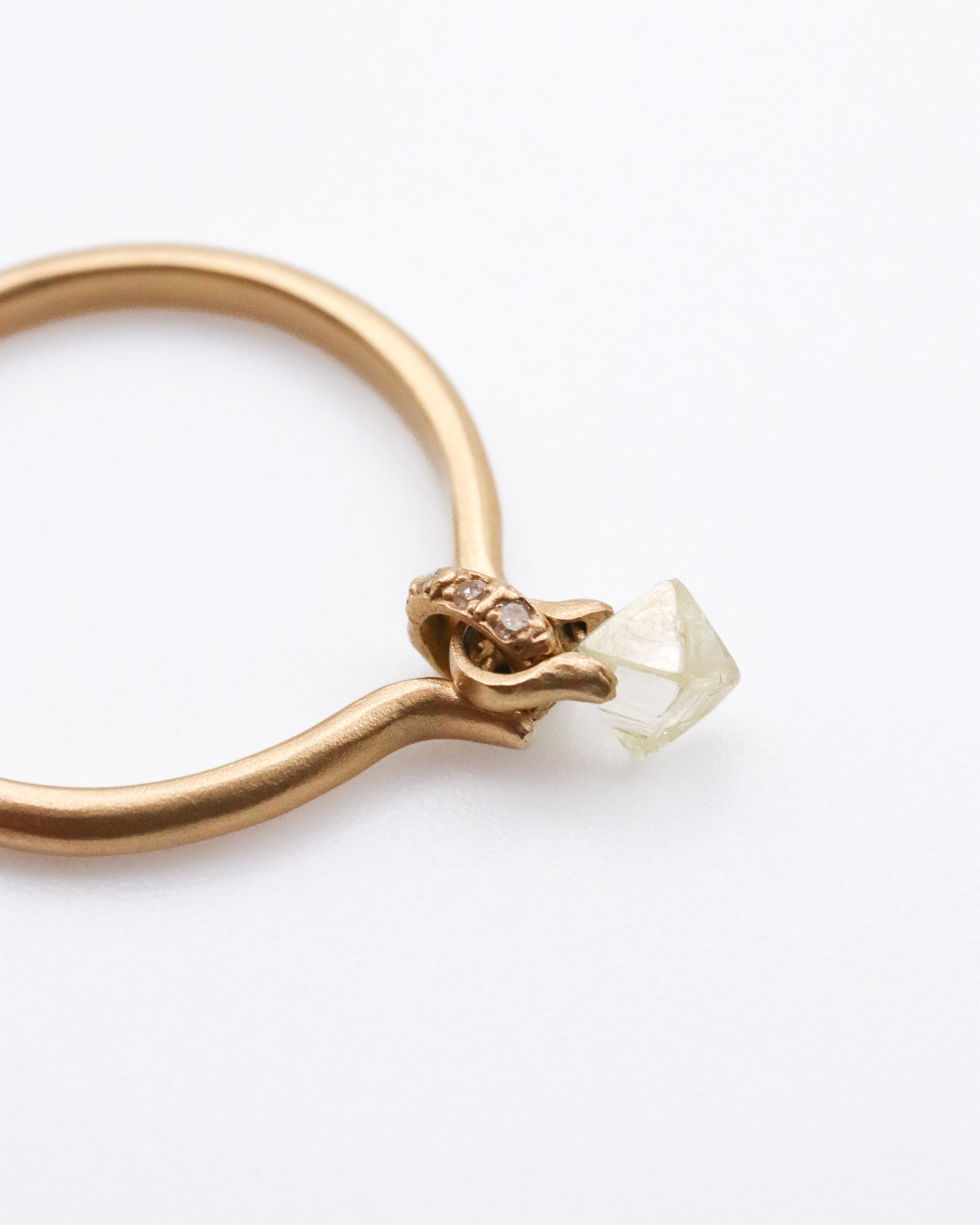 Horse Shoe Hole Ring - Diamond -