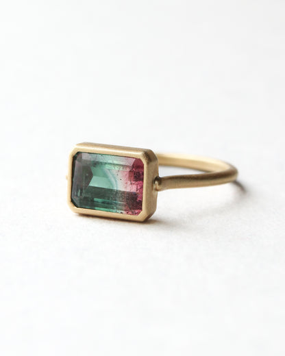 Collet Ring - Bicolor Tourmaline -