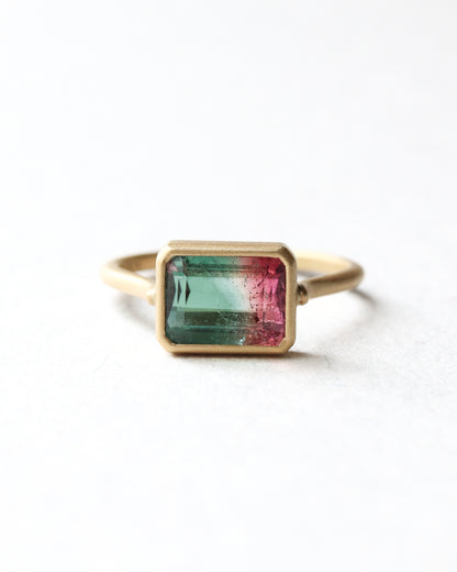 Collet Ring - Bicolor Tourmaline -
