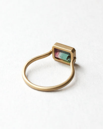 Collet Ring - Bicolor Tourmaline -