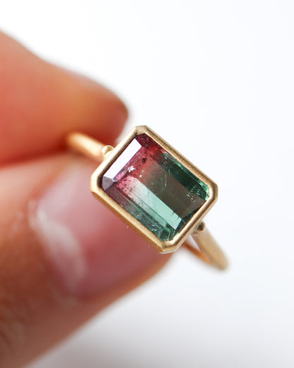 Collet Ring - Bicolor Tourmaline -