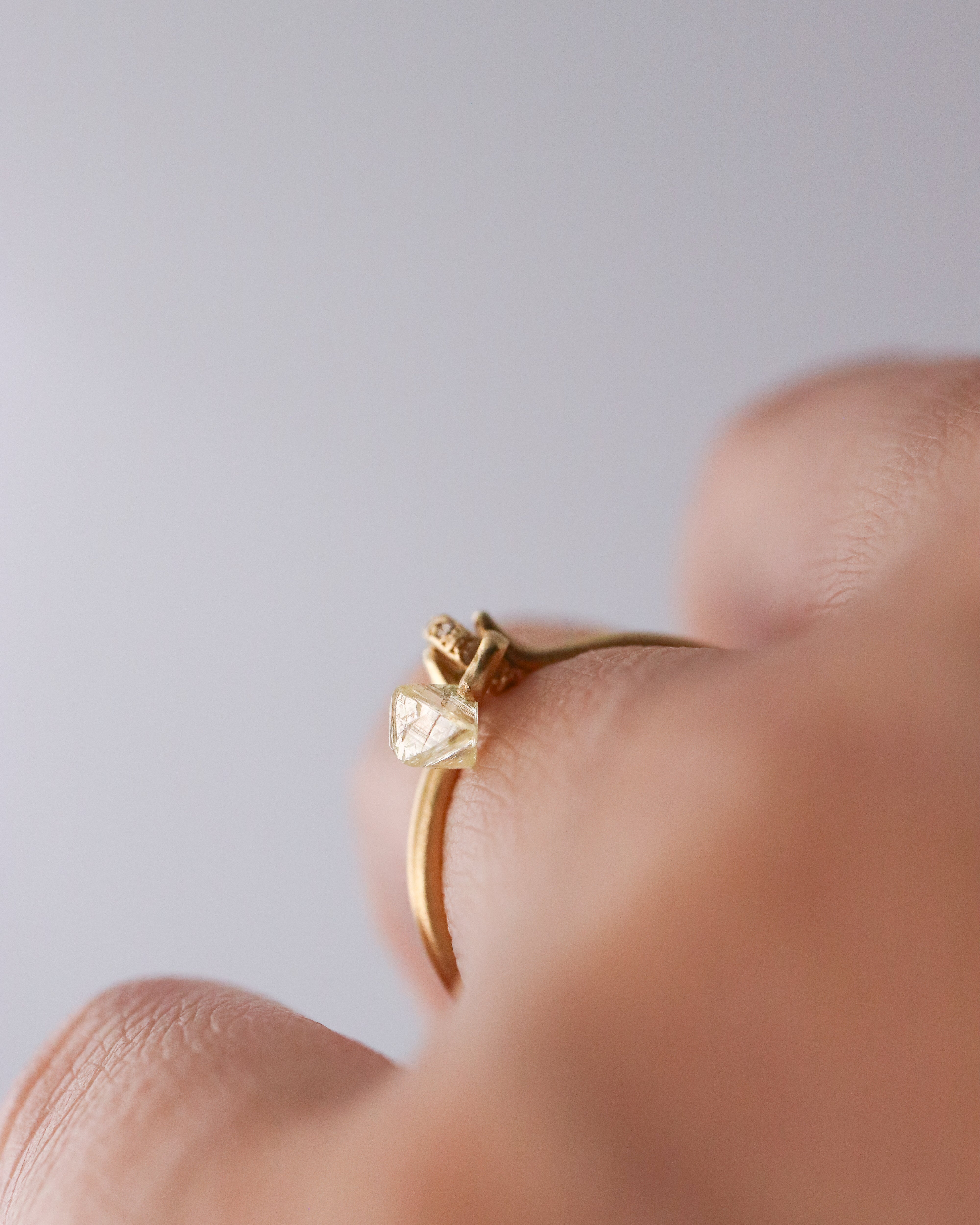 Horse Shoe Hole Ring - Diamond -