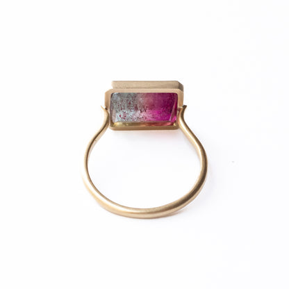 Collet Ring - Bicolor Tourmaline -