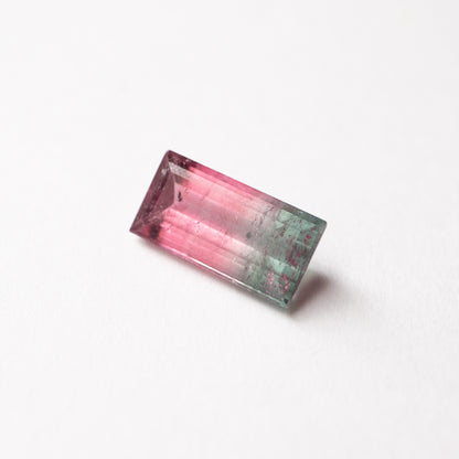 - Bicolor Tourmaline "E" Order Item -