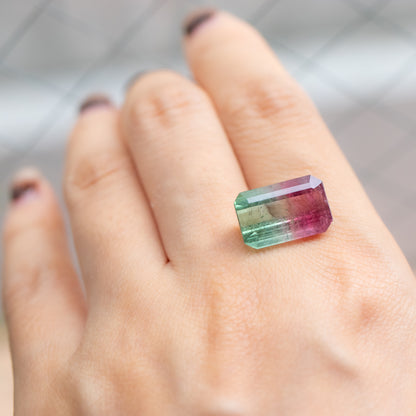 - Bicolor Tourmaline "A" Order Item -