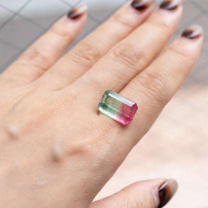 - Bicolor Tourmaline "A" Order Item -