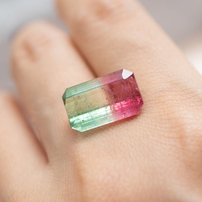 - Bicolor Tourmaline "A" Order Item -