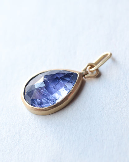 HorseShoe Collet Necklace - Tanzanite -