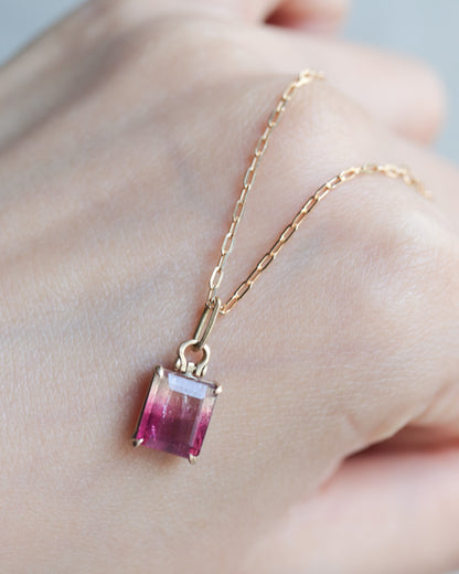 HorseShoe Prong Necklace - Bicolor Tourmaline -