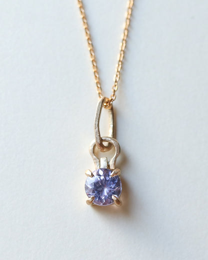 HorseShoe Prong Necklace - Tanzanite -