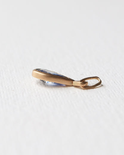 HorseShoe collet Necklace - Sodalite -