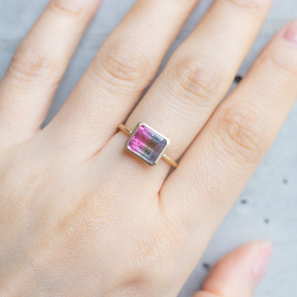 Collet Ring - Bicolor Tourmaline -