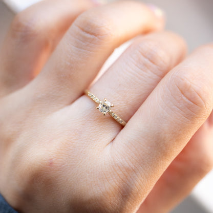 爪形戒指 - 钻石 -