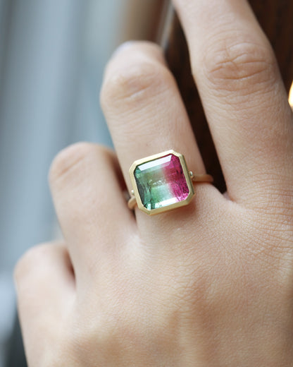 Collet Ring - Bicolor Tourmaline -