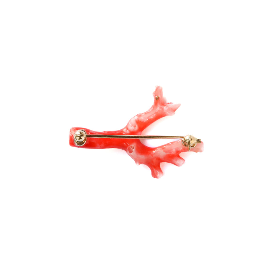 Coral Broach - Coral -