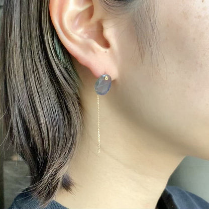 Flat Pierced Earrings - Labradorite -